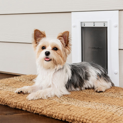 PetSafe® Wall Entry Pet Door Small Wayfair